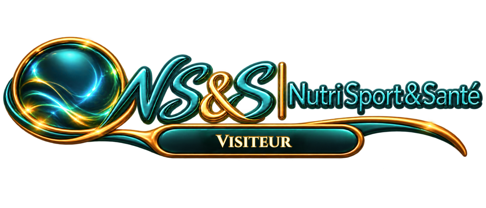 NS&S · Visiteur